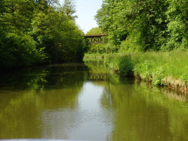 DSC00676