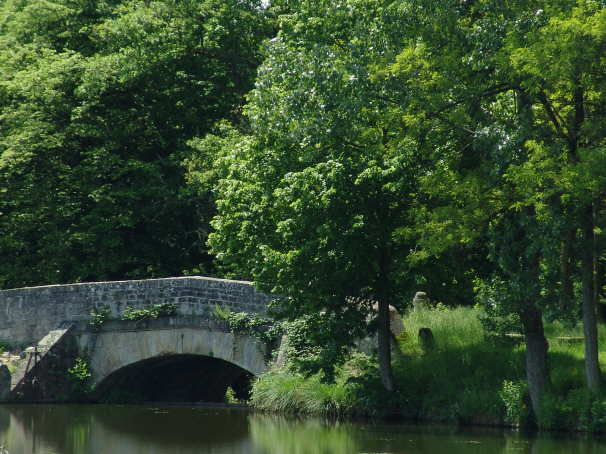 DSC00720