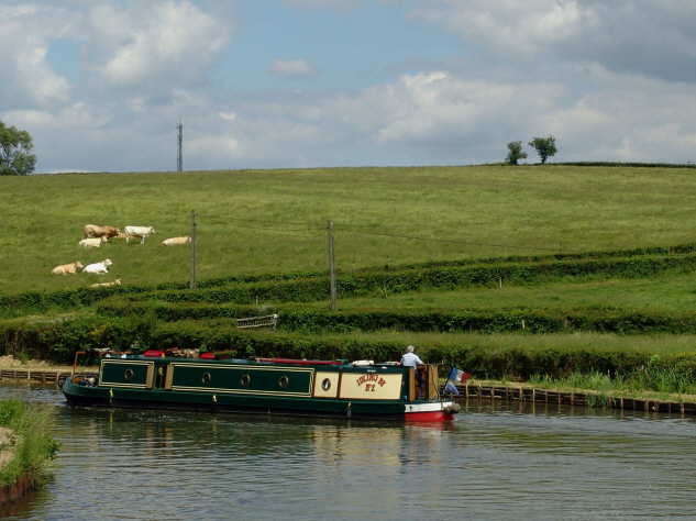 DSC00738