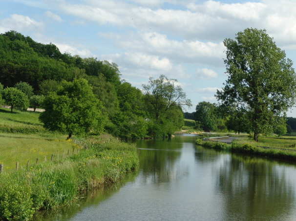 Natur