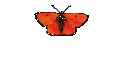 Blumen