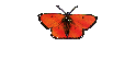 Fototrip.de