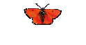 G�stebuch