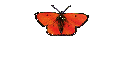 Impressum