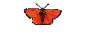 Kleinanzeigen