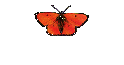 Spinnen