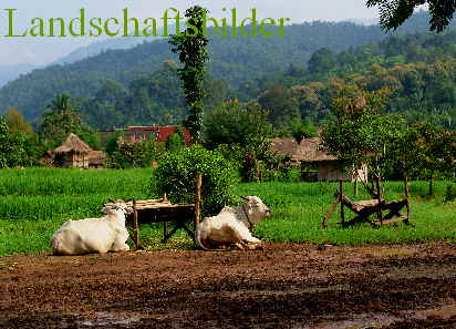 Landschaftsbilder