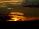 DSC00459