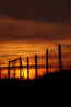 DSC00740