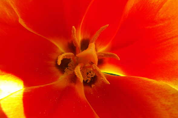 DSC01277