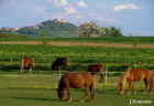 DSC02197-klein