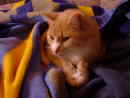 DSC08601