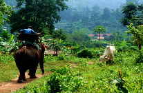 Bilder Thailand